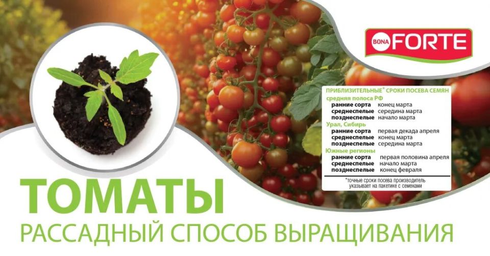 �������� ������� �������: ������ ��� �� ����������� � �������� ��������