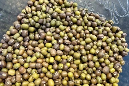 ��� ������� �������� ���������� � ���������: ������ ������ ����� �������� ��