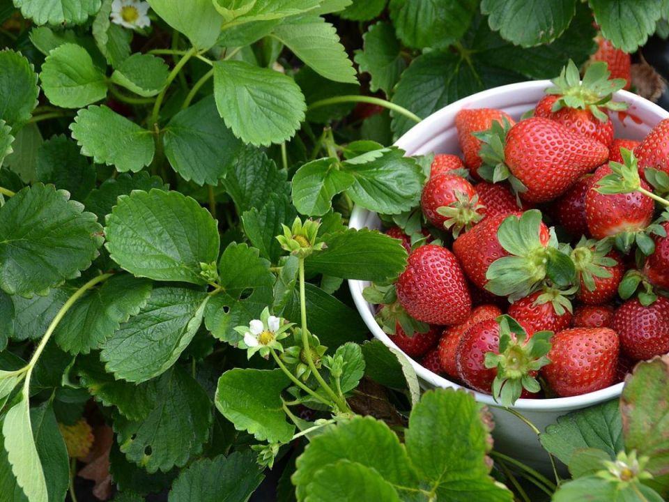 ������ ���� �������� ����� ��������? �������, ��� ��������� �������� � ������� ������!