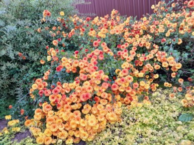 ����������: ������� ������ ��� ������ ����