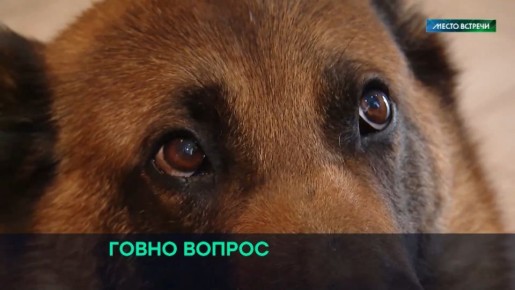 � ������������ ����� �������� ������������ � ������������ ���������, ������� � ������ ����� �������� �������� �����