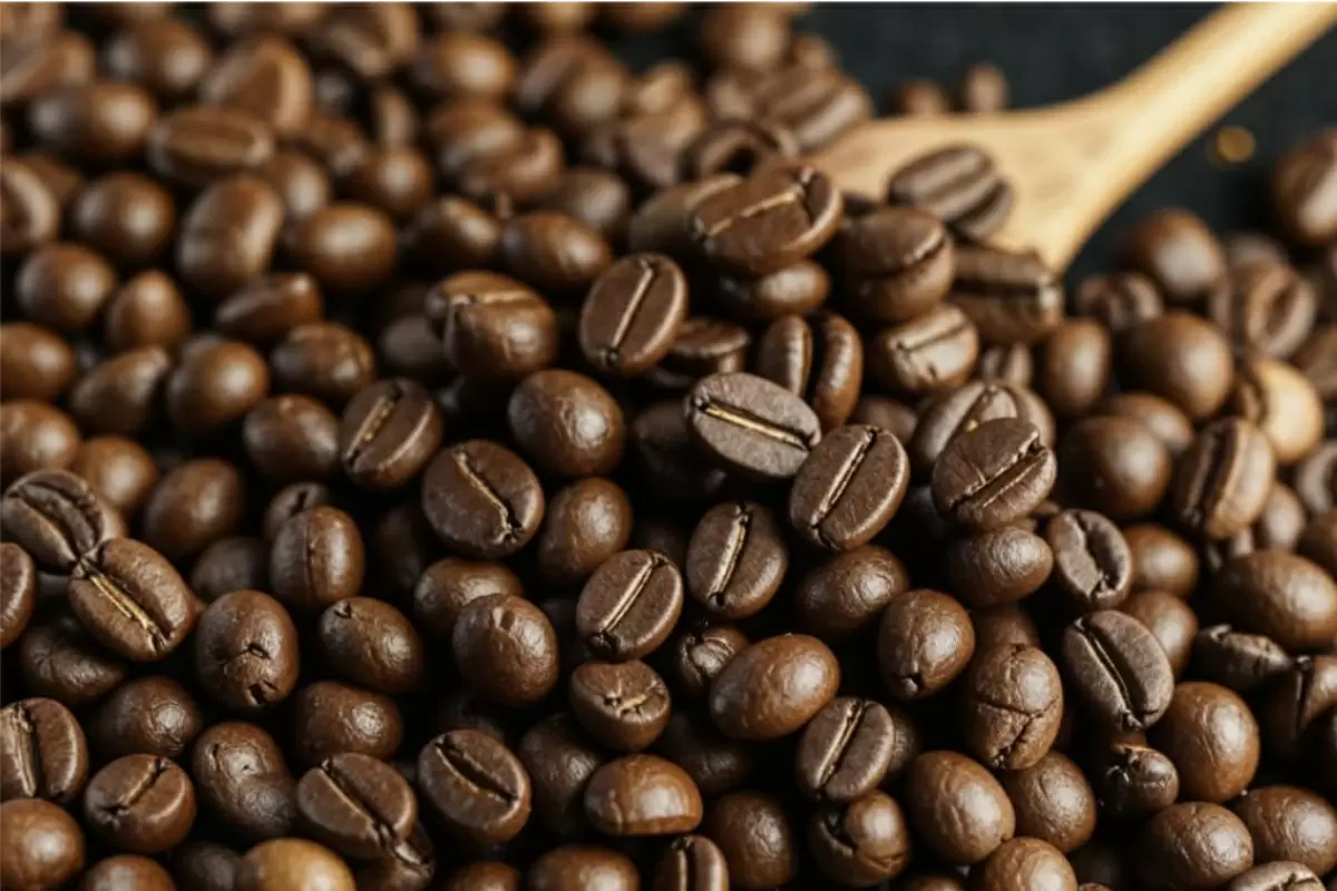 Кофе: правда и мифы, о которых стоит знать