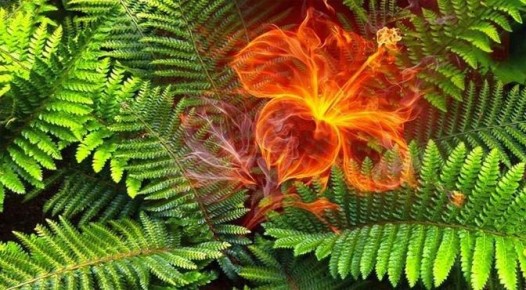 ������� ������ �����������: ����, ������ � ����� �������