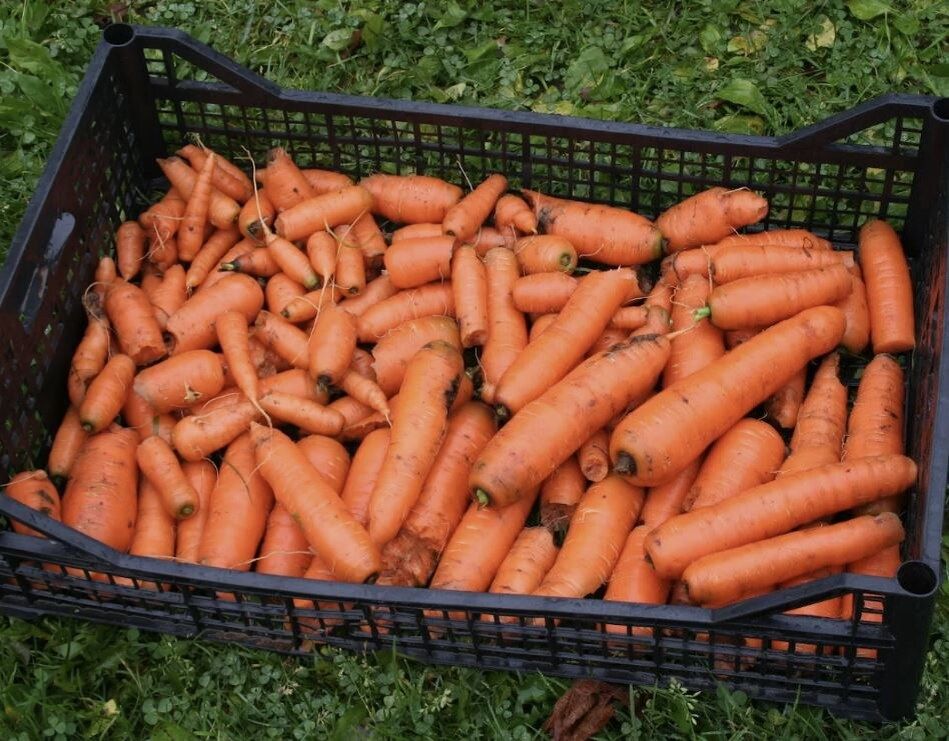 ��� ��������� ������� �������: ������ ��� ������� ��������