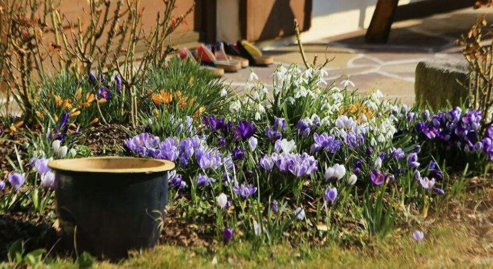 ������: ����� ����������� � ��� �������� ����� �� ���������� � ��������