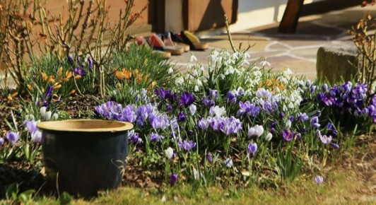 ������: ����� ����������� � ��� �������� ����� �� ���������� � ��������