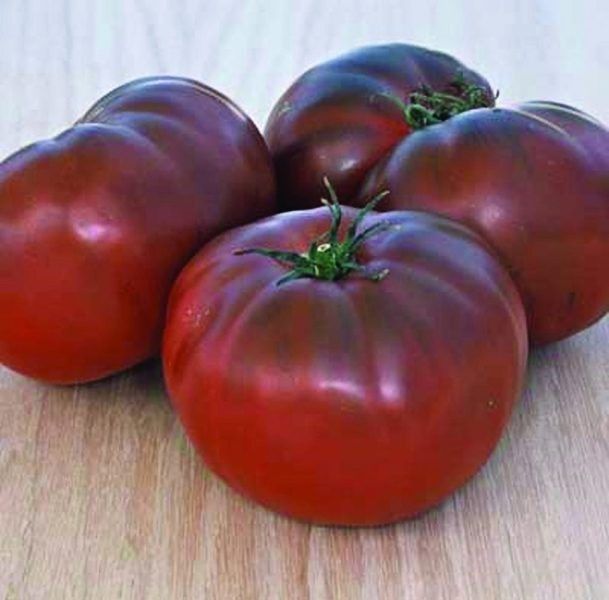 ����� ���� ����: ���������� ����� � ���������� ������ � ������������� �����������