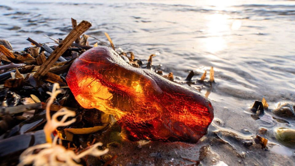 ������: ����������� ������ � ������� ��������