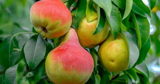 ������ ���� ����� �� ����������? ��������� �������� ������� � �������