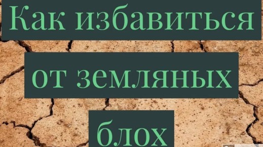 Земляные блохи в вашем доме: от причин появления до эффективных методов борьбы