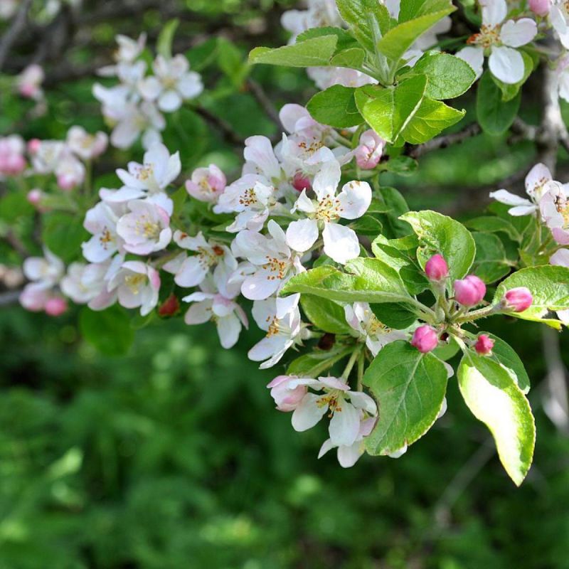 ��� ������ ������: 5 ����������� ������� ������ � ��������� �� ����