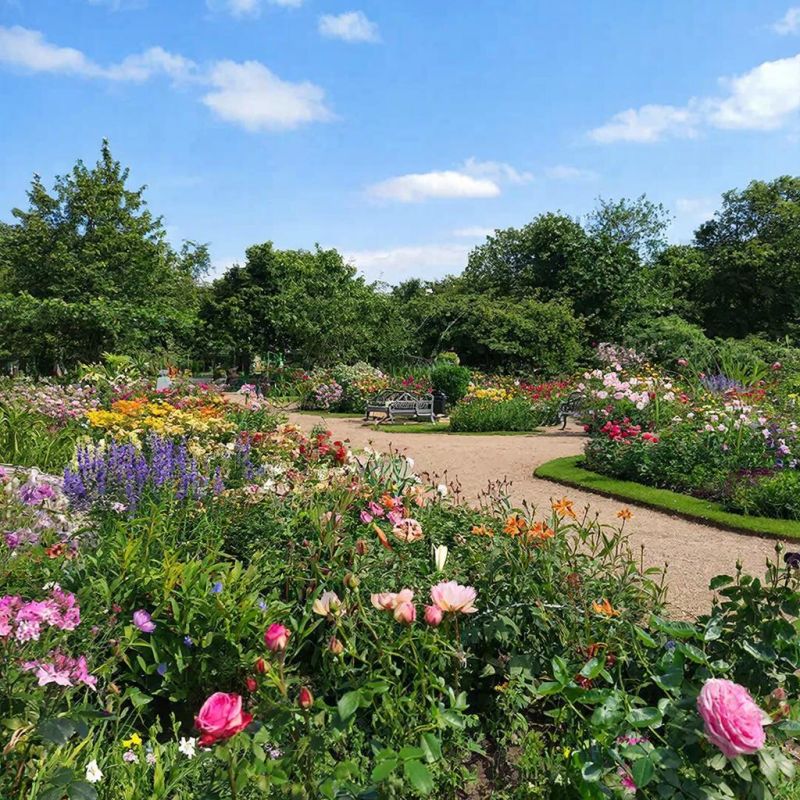 ��������-�����: ������������ ������� ��� ������ ����