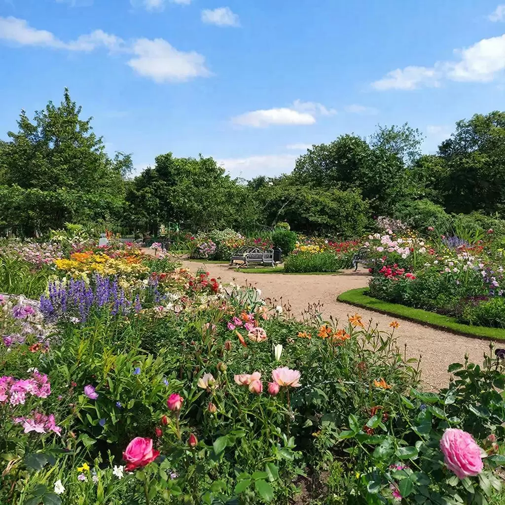 Растения-свечи: вертикальные шедевры для вашего сада