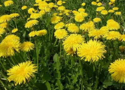 ������ � ���������: �������� ������ ��� ���������� ���������