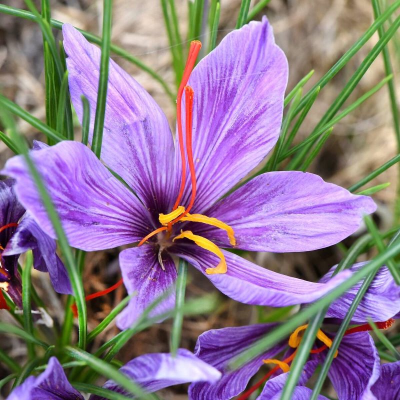 �������: ��� ��� �������� ������ ����� ��������� � ����� ����