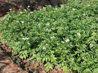 ����� � ���������: ����������� ����������� ���������� ���������