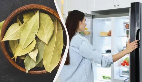 �������� ����: �������, � ������� �� ��� �����