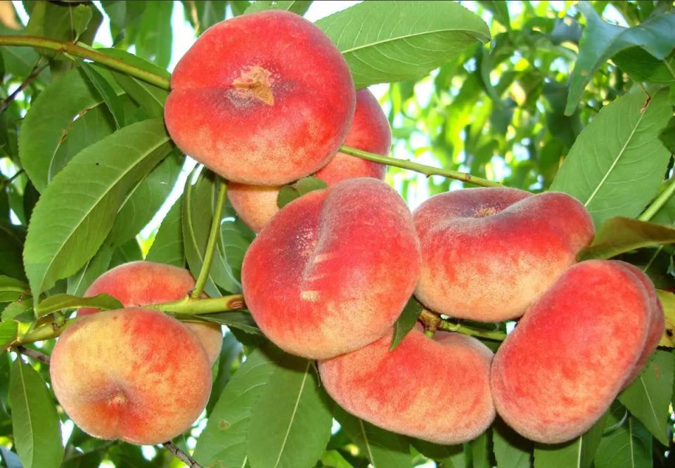 �������� ������: �� ����������� ������ � ���������� ������� ��������