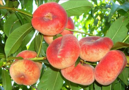 �������� ������: �� ����������� ������ � ���������� ������� ��������