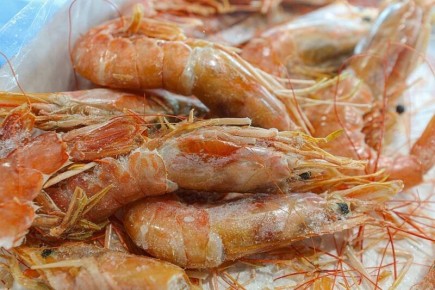 ��������� �������� �������� ������ �������� � ��������