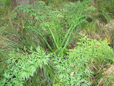 ������: ���������� ������� � ���� �� �����