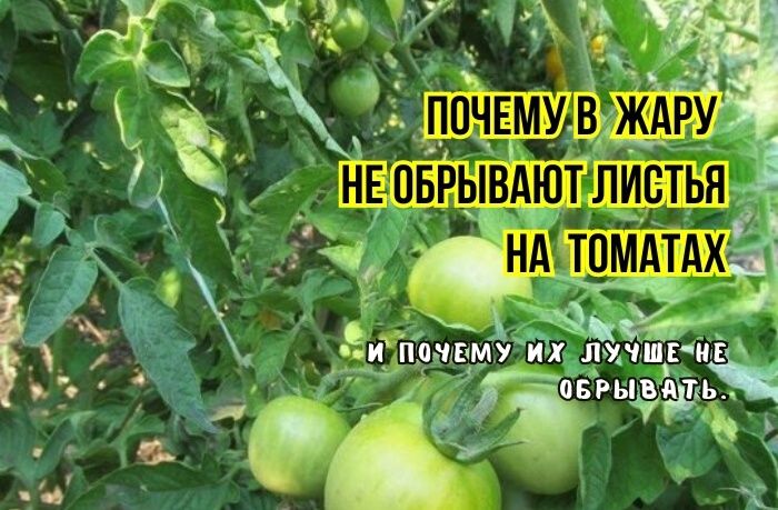 ������ ������ ������� ������ �������� ���� � ����: ��� ������� �� ��������