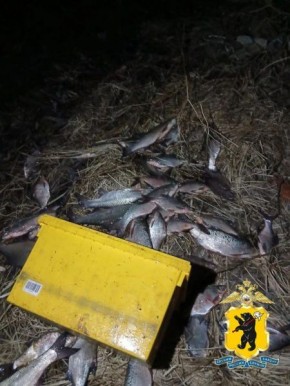 � ���������� ������ ����������� ������� �������������� ������ ������� ������, ��������� �������� ����� ���� �� �������