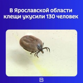 ����� �� ������. ����� ������ ����������� ������������ ���������������