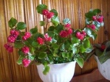 ����������� �������: ����, ���������� ����������� � ������� �����