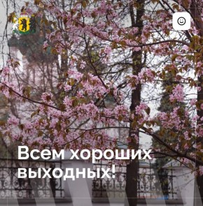 ������� ������ �������� � �����