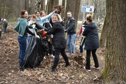 ������ ������: ������ ������� ����������� ������� ������� ������� �� ������������� ����������