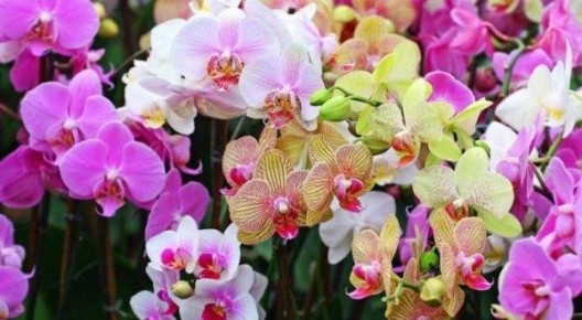 ��� ��������� ��������� �� �������� ����� ��������?