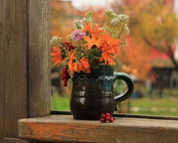 ������ ������� ����� � ����� ���������: 7 �������� ������� ��������� ��� ����