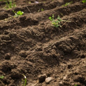 ��� ��������� ����������� ��� � ������ � ����: ������� ������� ���������