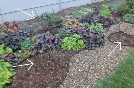 ��������� � ������: ������� � ������ ���� � ��������� ��� ���?