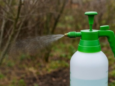 ��� �������� ��� �� ����������: ����������� ������ � ������ ���������