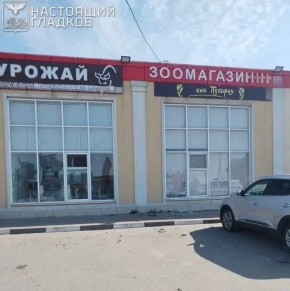 ���� ����: ���� ��� ����� ���������� 3 ���������� ���� ��� ����������� ������: