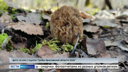 ������ ����, ���������!. ���� ������ ���������� ������������� "������", ������� ����������� �� �������� �����