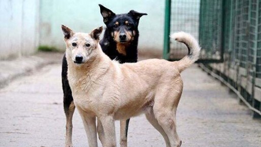 ������ ����������� ������� ����� �������� � ���������� ����� � ����� ��� ���������� ����� ���������