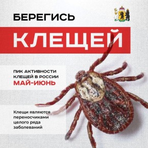 ��� ���������� �� ������ � ������ �����