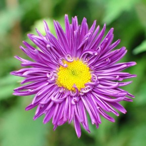 ��� ��������� ��������� �� �������� ����: ������� ������� ��������