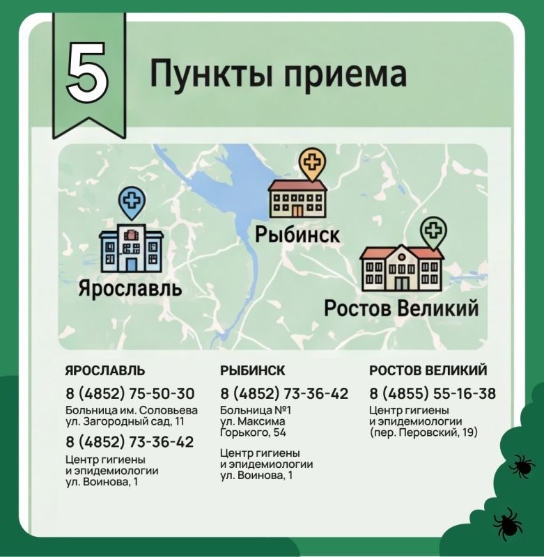 Укус клеща не так прост, как кажется Укус клеща не так прост, как кажется