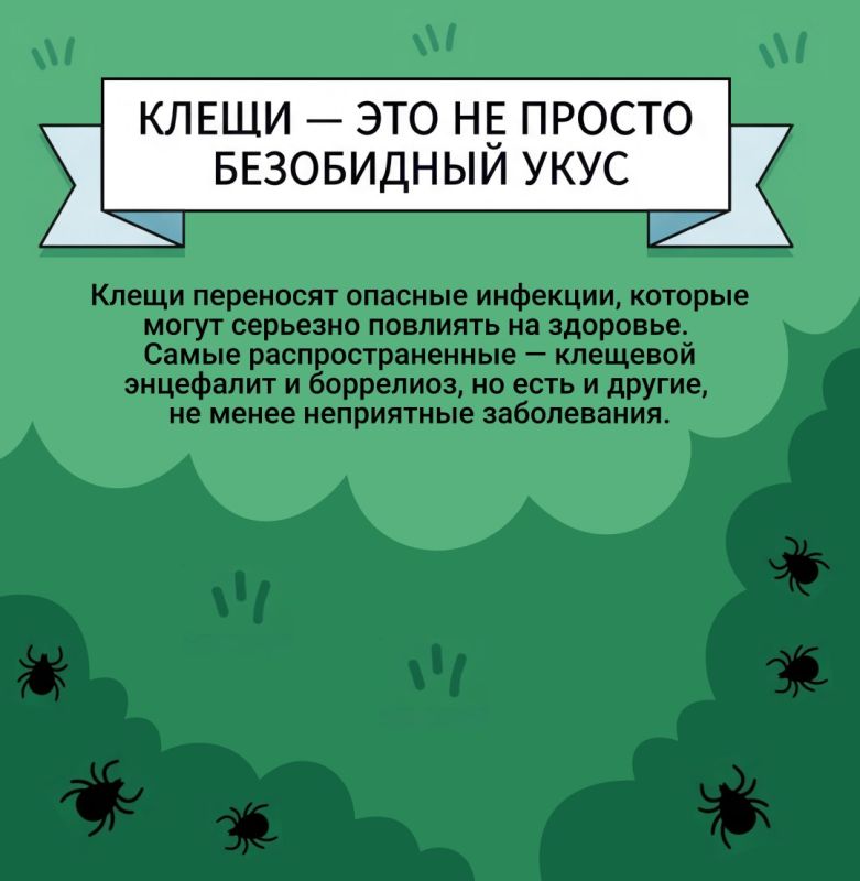 Укус клеща не так прост, как кажется