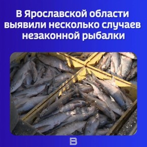������ � ������� ��������� ������ ��������� �������, � �� ������� ������� ����������� �� ����� ����