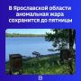 В Ярославской области аномальная жара сохранится до пятницы
