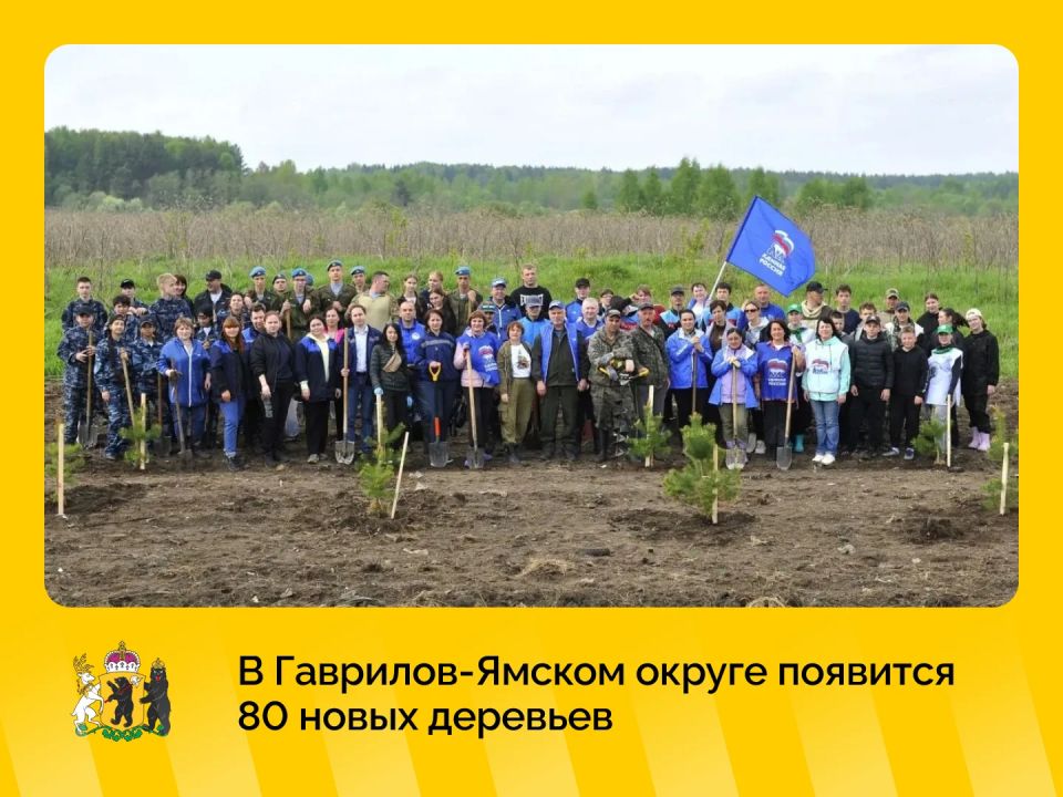 Сосновый бор появится на въезде в Гаврилов-Ям