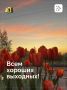 Чемпионские выходные уже ждут вас