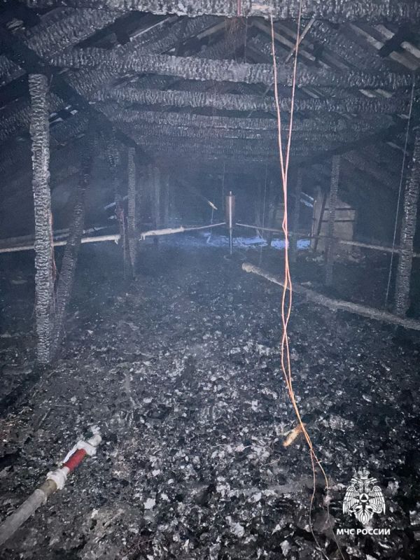 Пожарные МЧС России спасли 35 человек, в том числе 5 детей Пожарные МЧС России спасли 35 человек, в том числе 5 детей