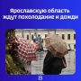 После аномально теплых дней в регион придет совсем другая погода — с дождями и холодными ночами