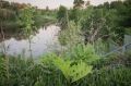Дмитрий Рудаков: Деревянная мостовая у воды, много зелени и плиточные дорожки — такой уже в этом году станет Стрелка